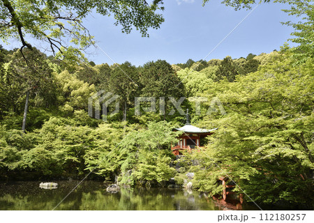 弁天池と弁天堂　醍醐寺【世界文化遺産】 112180257