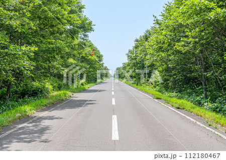 新緑の木々に挟まれた直線道路(道イメージ) 新緑の木々に挟まれた直線道路(道イメージ) 112180467