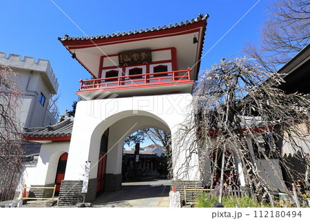 東京都中野区成願寺 112180494