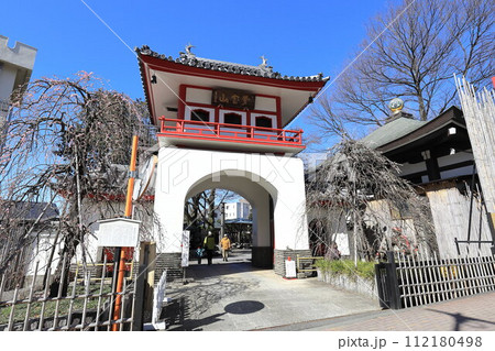 東京都中野区成願寺 112180498