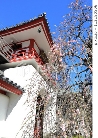 東京都中野区成願寺 東京都中野区成願寺 112180506