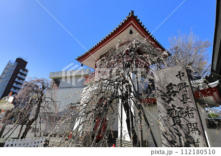 東京都中野区成願寺 東京都中野区成願寺 112180510