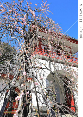 東京都中野区成願寺 東京都中野区成願寺 112180513