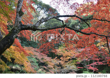 南禅院　秋の景色 112180788