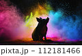カラーパウダーの背景の豚のシルエット 112181466