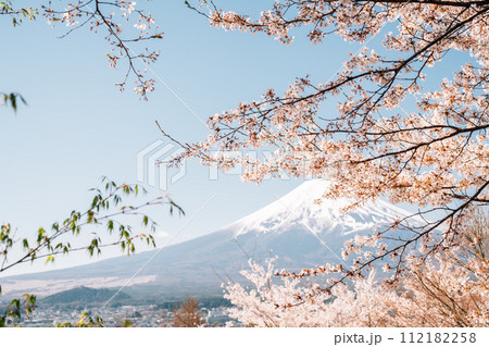 Fuji Mountain with cherry blossoms from Arakurayama Sengen Park in Yamanashi, Japan Fuji Mountain with cherry blossoms from Arakurayama Sengen Park in Yamanashi, Japan 112182258