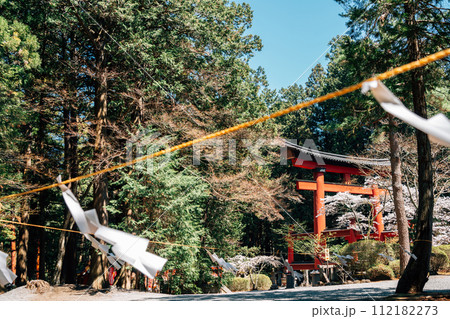 Fujiyoshida Kitaguchi Hongu Fuji Sengen Shrine Torii gate near Fuji Mountain in Yamanashi, Japan 112182273