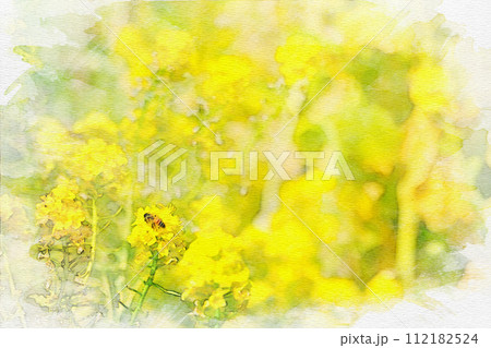 [愛知県]日進市の愛知牧場の菜の花畑の水彩画 112182524