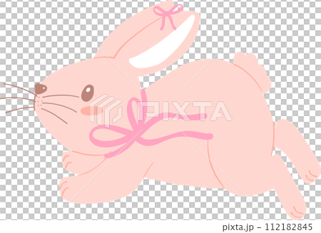 Bunny Rabbit Coquette with Pink Ribbon Bow Flat Design Bunny Rabbit Coquette with Pink Ribbon Bow Flat Design 112182845