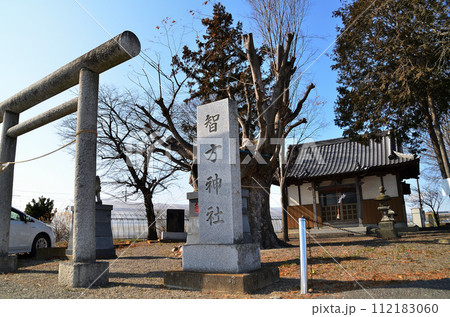 埼玉県本庄市小島の智方神社 埼玉県本庄市小島の智方神社 112183060