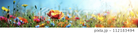 春の花畑の風景　AI画像 112183494