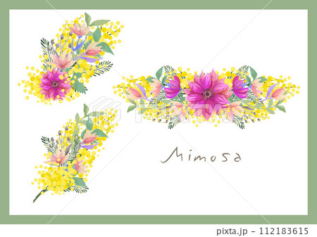 ミモザアカシア ベクター素材 ブーケ リース ドライフラワー 花束 ミモザアカシア ベクター素材 ブーケ リース ドライフラワー 花束 112183615
