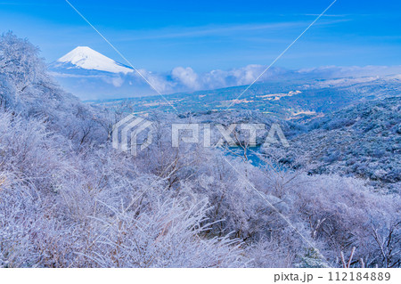 (静岡県)降雪した伊豆スカイライン・氷ヶ池 富士山眺望 (静岡県)降雪した伊豆スカイライン・氷ヶ池 富士山眺望 112184889