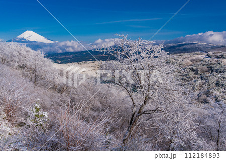 （静岡県）降雪した伊豆スカイライン・氷ヶ池　富士山眺望 112184893