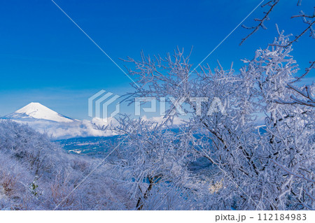 (静岡県)降雪した伊豆スカイライン展望台から望む富士山 (静岡県)降雪した伊豆スカイライン展望台から望む富士山 112184983