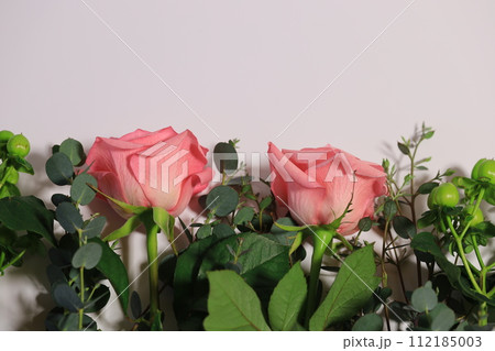 ピンク色のバラ 112185003