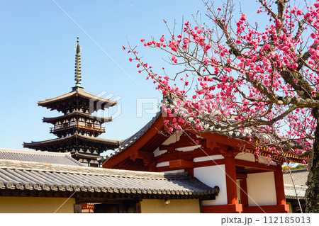 【奈良県】奈良市 薬師寺 (2024/02/28撮影) 【奈良県】奈良市 薬師寺 (2024/02/28撮影) 112185013