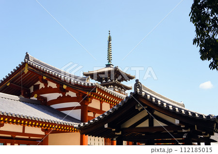 【奈良県】奈良市 薬師寺 (2024/02/28撮影) 112185015