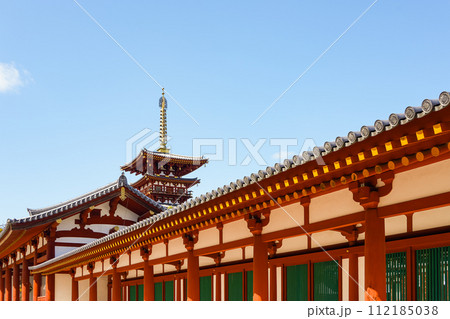 【奈良県】奈良市 薬師寺 (2024/02/28撮影) 112185038