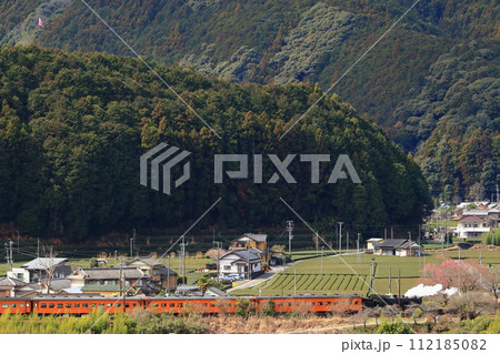 大井川鐡道　SL急行 112185082