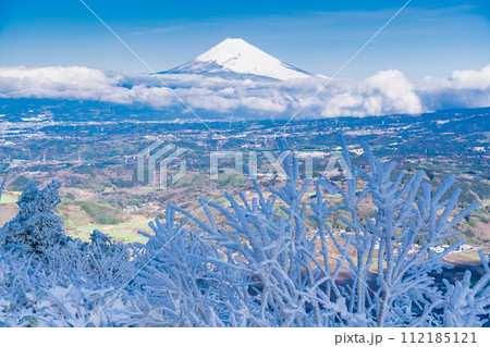 （静岡県）降雪した伊豆スカイライン西丹那展望台から見る丹那盆地と富士山 112185121