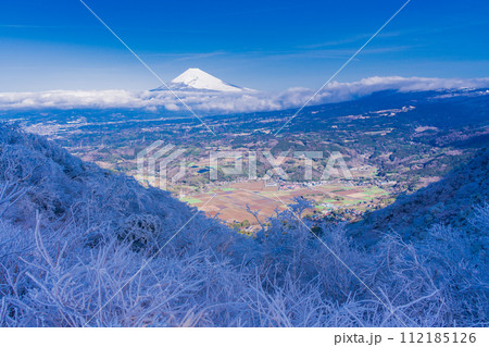 （静岡県）降雪した伊豆スカイライン西丹那展望台から見る丹那盆地と富士山 112185126