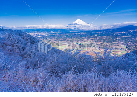 (静岡県)降雪した伊豆スカイライン西丹那展望台から見る丹那盆地と富士山 (静岡県)降雪した伊豆スカイライン西丹那展望台から見る丹那盆地と富士山 112185127