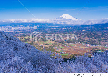 （静岡県）降雪した伊豆スカイライン西丹那展望台から見る丹那盆地と富士山 112185128