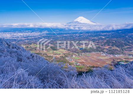 (静岡県)降雪した伊豆スカイライン西丹那展望台から見る丹那盆地と富士山 (静岡県)降雪した伊豆スカイライン西丹那展望台から見る丹那盆地と富士山 112185128