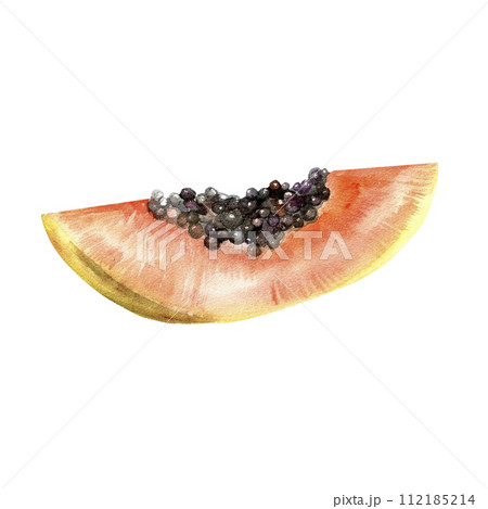 Watercolor tropical papaya illustration. Summer juicy summer fruit slice with black seeds , element for label, packing, product design Watercolor tropical papaya illustration. Summer juicy summer fruit slice with black seeds , element for label, packing, product design 112185214
