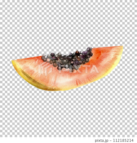 Watercolor tropical papaya illustration. Summer juicy summer fruit slice with black seeds , element for label, packing, product design Watercolor tropical papaya illustration. Summer juicy summer fruit slice with black seeds , element for label, packing, product design 112185214