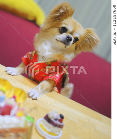 ペキチワ 112187609