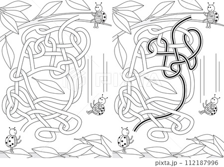Ladybug maze 112187996