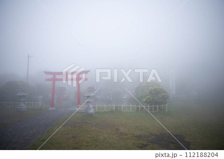 別府市　鶴見岳　ミヤマキリシマ 112188204