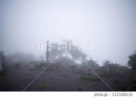別府市 鶴見岳 ミヤマキリシマ 別府市 鶴見岳 ミヤマキリシマ 112188210
