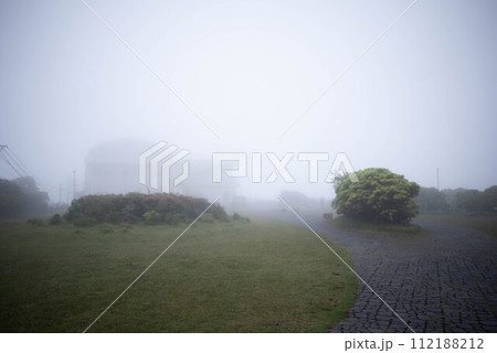 別府市　鶴見岳　ミヤマキリシマ 112188212