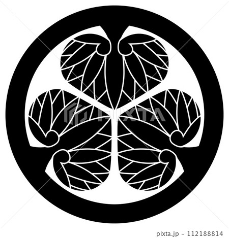 ♪新発見♪◇『徳川光圀』和歌「忘咲の桜花」掛軸 三つ葉葵紋 水戸光圀