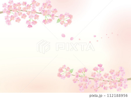 淡い桜の背景イラスト 112188956