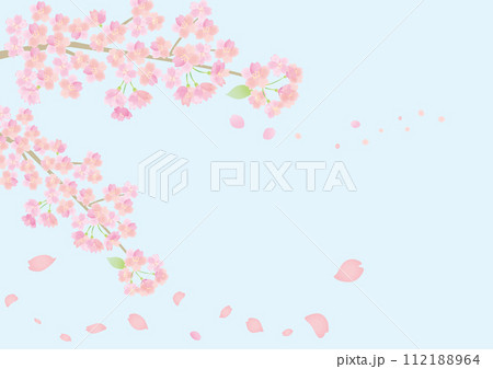 花びら舞い散る青空と桜の背景イラスト 花びら舞い散る青空と桜の背景イラスト 112188964