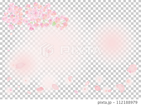 櫻花花瓣飄落的背景圖 櫻花花瓣飄落的背景圖 112188979