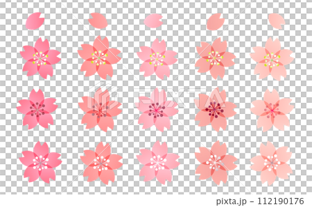 15 colorful variations of cherry blossom illustrations that can be used as a focal point or as a design. 15 colorful variations of cherry blossom illustrations that can be used as a focal point or as a design. 112190176