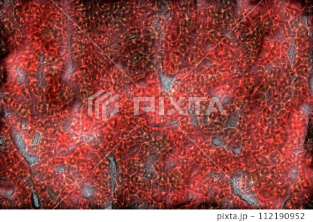 ドロドロの模様の背景画像 112190952