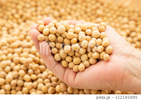 大豆を持つ女性の手元 大豆を持つ女性の手元 112191095