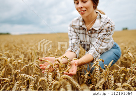Young woman farmer walking across field and running her hand through golden ears of wheat harvest. Young woman farmer walking across field and running her hand through golden ears of wheat harvest. 112191664