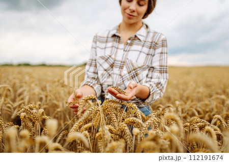 Young woman farmer walking across field and running her hand through golden ears of wheat harvest. Young woman farmer walking across field and running her hand through golden ears of wheat harvest. 112191674