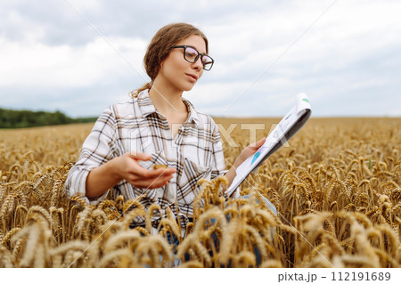 Farmer woman watching some charts and checking wheat field progress. Agriculture, ecology concept. 112191689