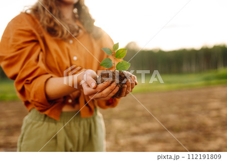 Farmer's hand holding a green young plant and earthy handful. Concepts of ecology and gardening. Farmer's hand holding a green young plant and earthy handful. Concepts of ecology and gardening. 112191809