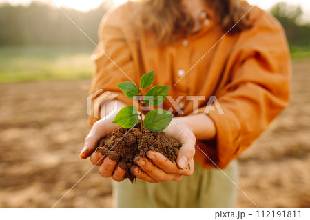 Farmer's hand holding a green young plant and earthy handful. Concepts of ecology and gardening. 112191811