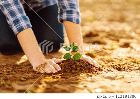 Hands of an experienced farmer plants and cares for new sprout in field. Gardening concept, ecology. Hands of an experienced farmer plants and cares for new sprout in field. Gardening concept, ecology. 112191886