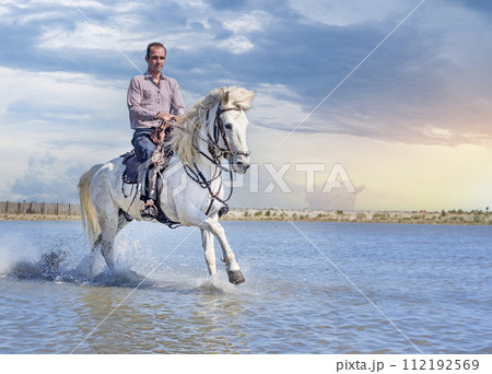 rider and horse on the beach 112192569